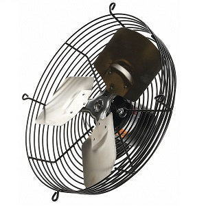 Dayton 12  Guard Mounted Exhaust Fan 1HKL4C Online Sale