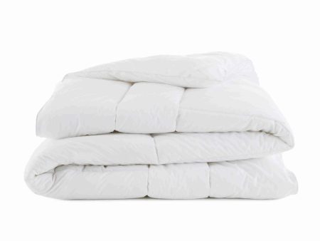 Clean Design Home x Martex Allergen-Barrier Down Alternative Comforter Sale